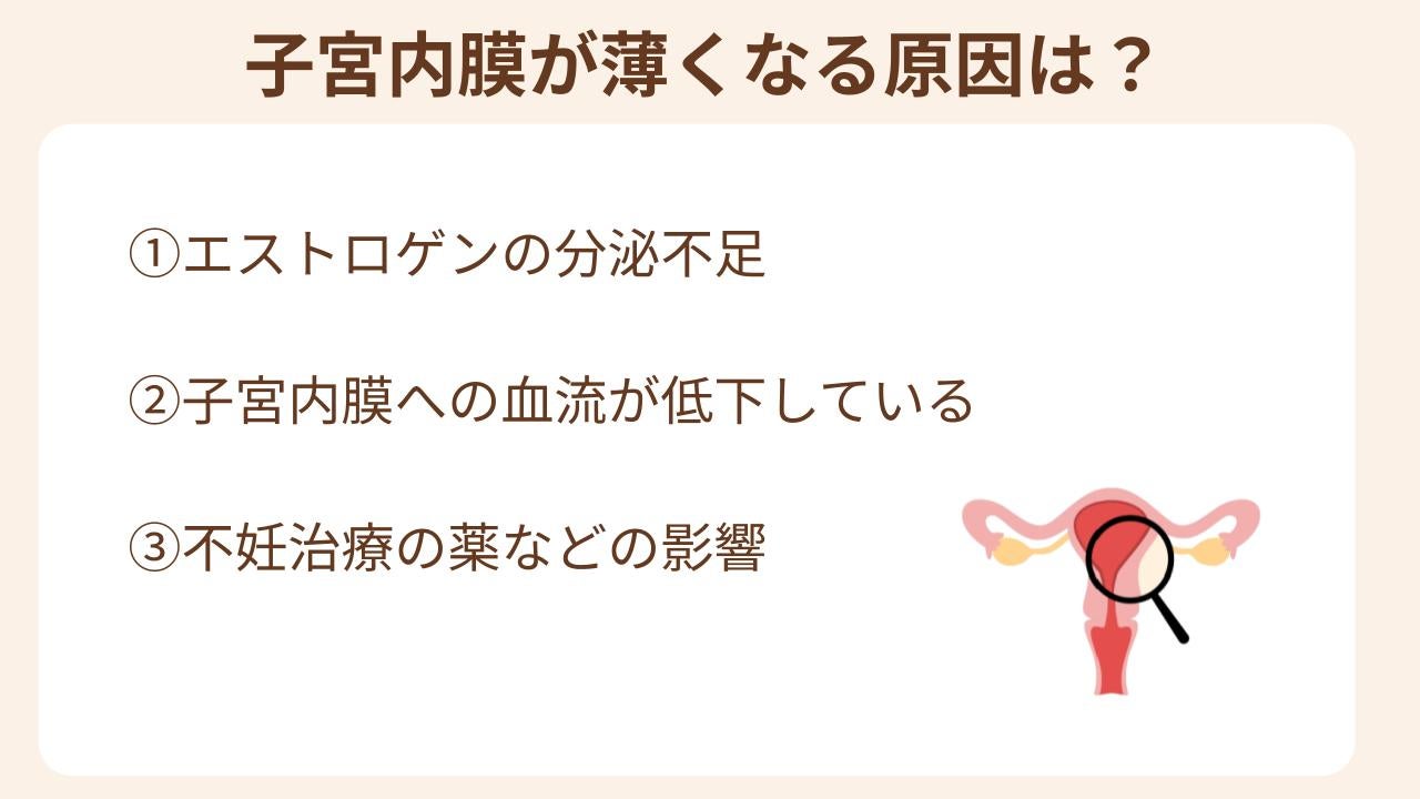 子宮内膜が薄くなる原因は女性ホルモンの分泌不全、子宮内膜への血流、不妊治療で使用する薬などが影響する