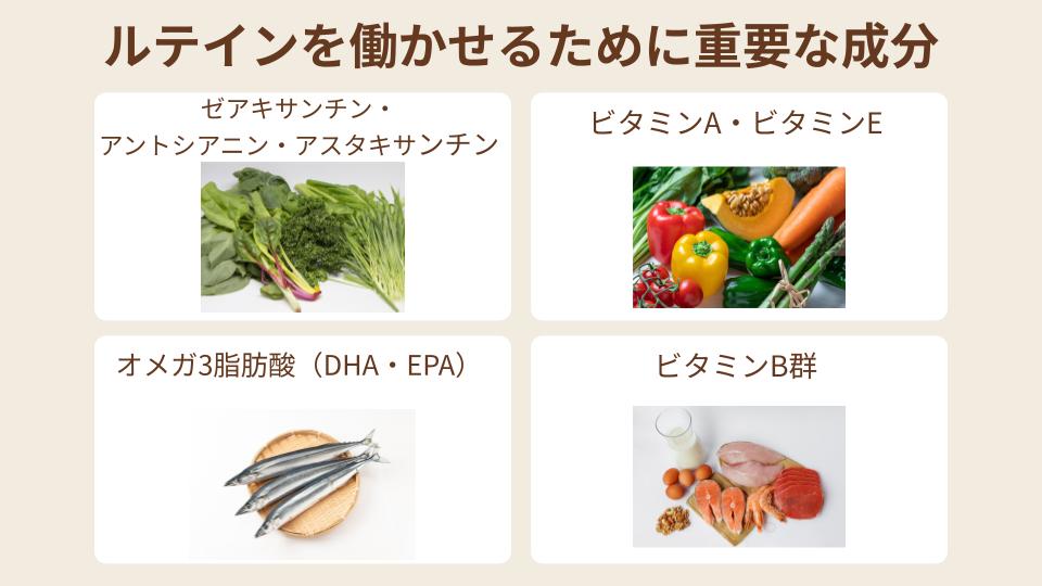 ルテインを効果的に働かせるために重要な成分
