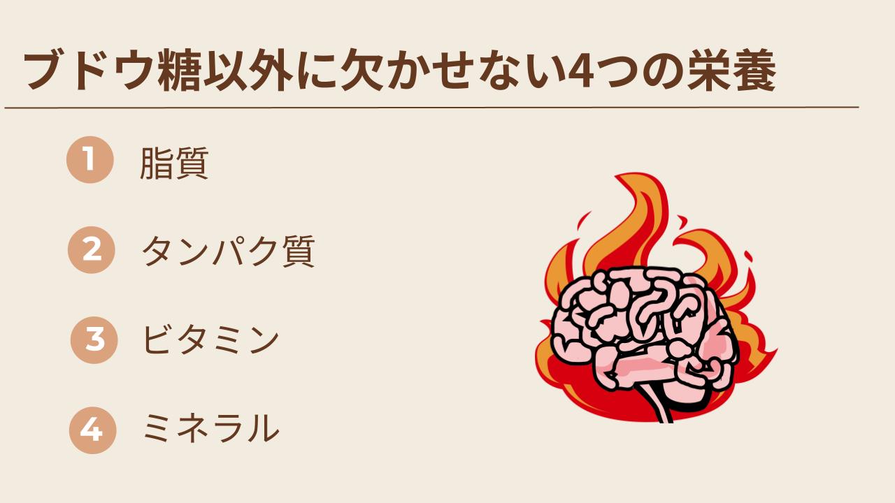 ブドウ糖以外で脳に欠かせない栄養を説明