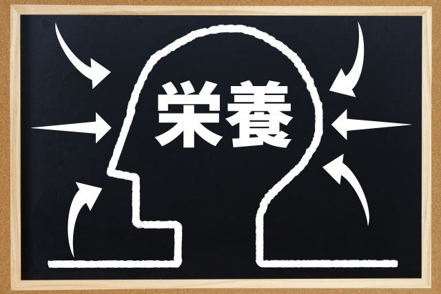 脳の活動に必要な栄養を取れる食材を紹介
