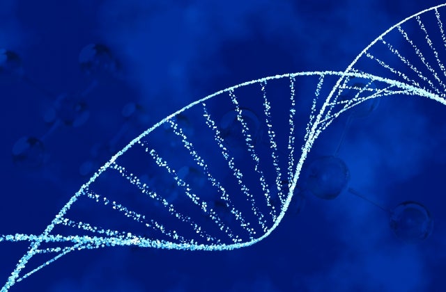 認知症の発症に関わる遺伝子について紹介