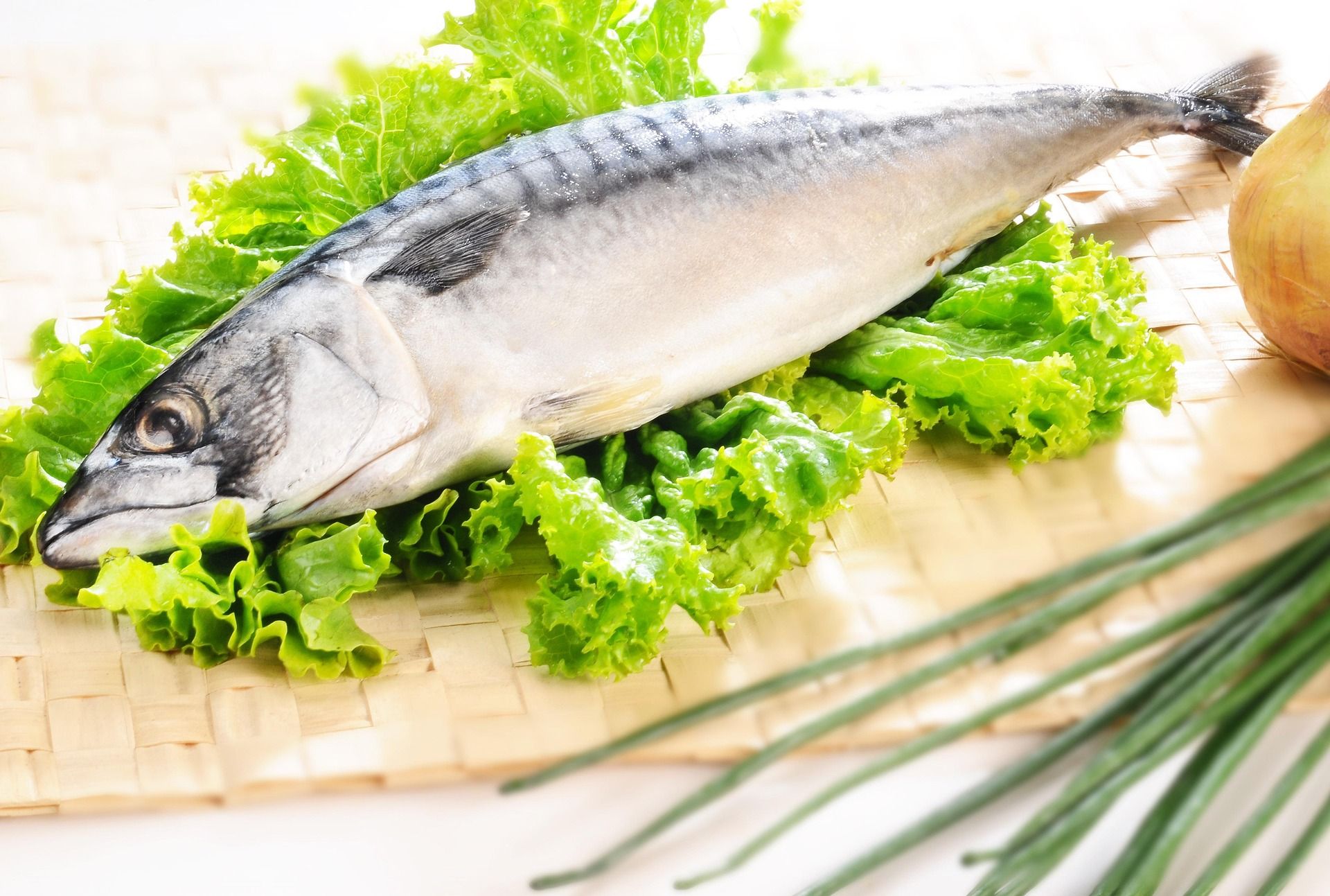 DHA・EPA：青魚