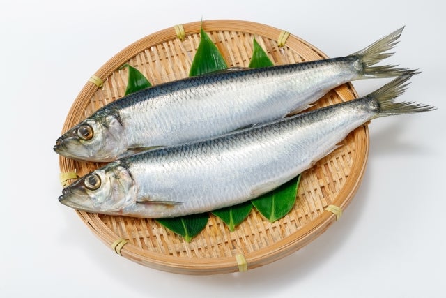 ニシン