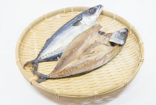 不飽和脂肪酸の1つで、魚の体内では眼球の裏の脂肪に多く含まれている栄養素で、人間だと脳の灰白質や網膜、神経中に備わっていることが分かっています