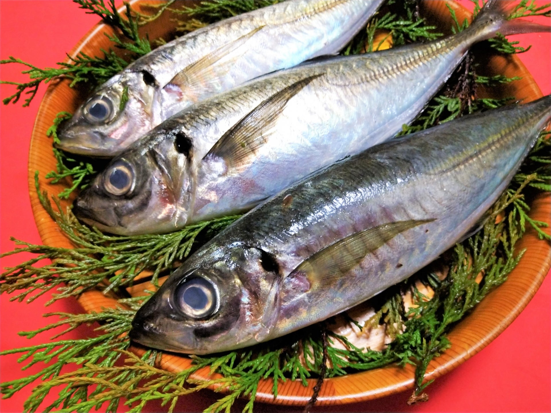 まとめ:脳を活性化させる食べ物で日々のパフォーマンスを上げよう