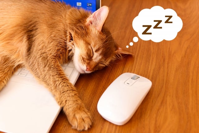 適切な睡眠時間が重要