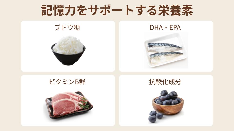 記憶力をサポートする栄養素