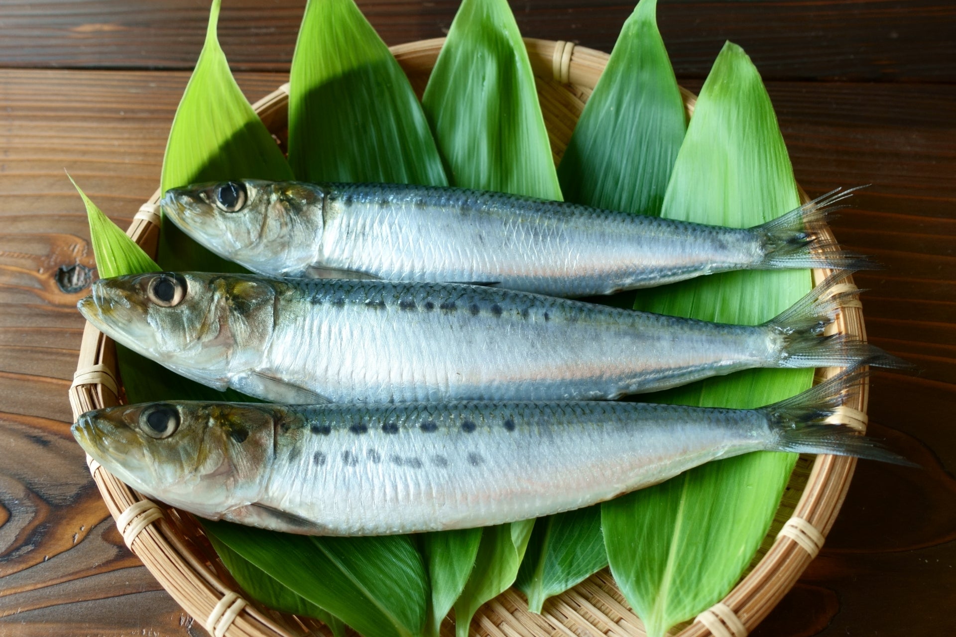 更年期におすすめの青魚