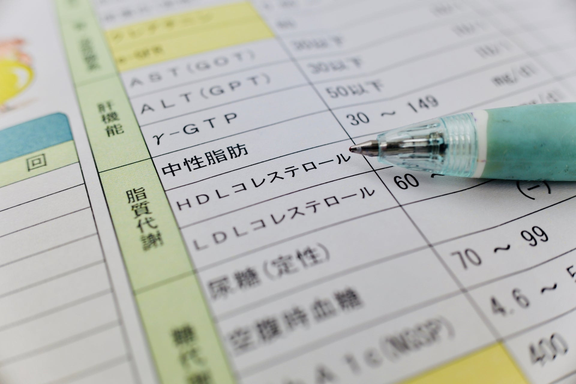 中性脂肪などの検査結果