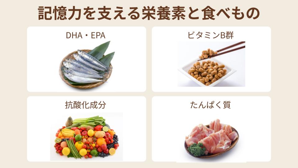 記憶力を支える栄養素と食べもの