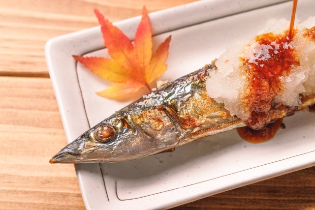 青魚