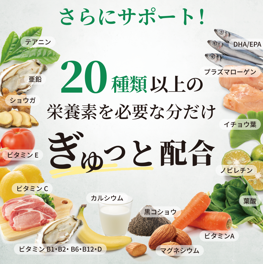 記憶力を高める栄養素