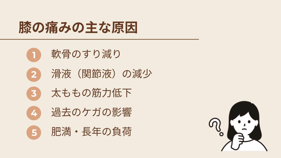 膝の痛みの主な原因