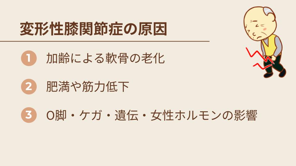 変形性膝関節症の原因