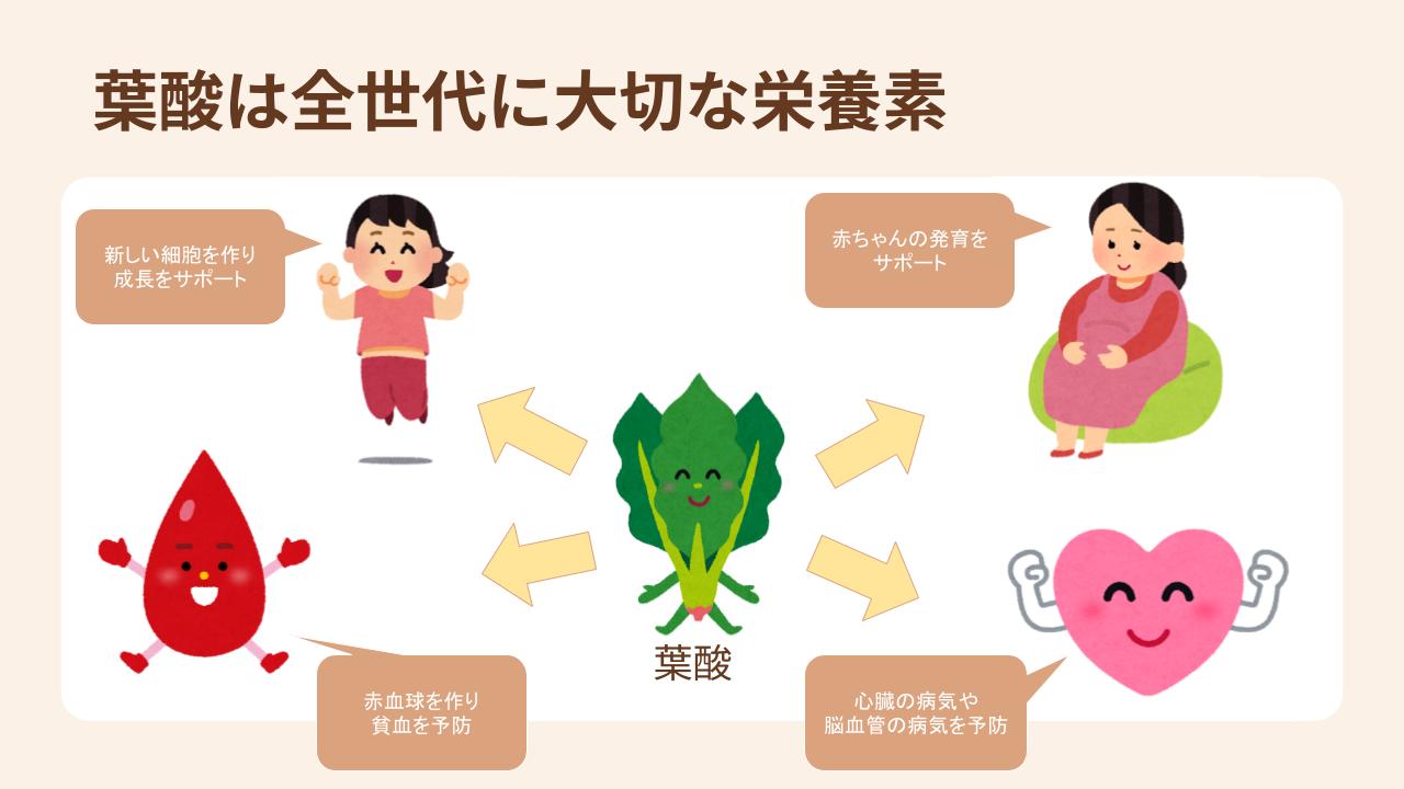 葉酸は妊婦だけではなく、様々な人にとって大切な栄養素