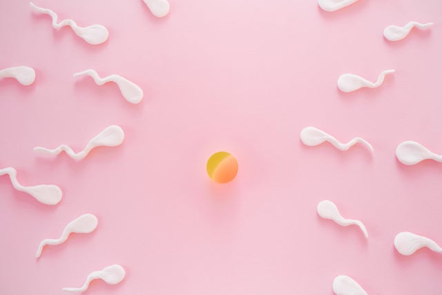 必要な栄養を摂取して状態のよい精子をつくることが必要