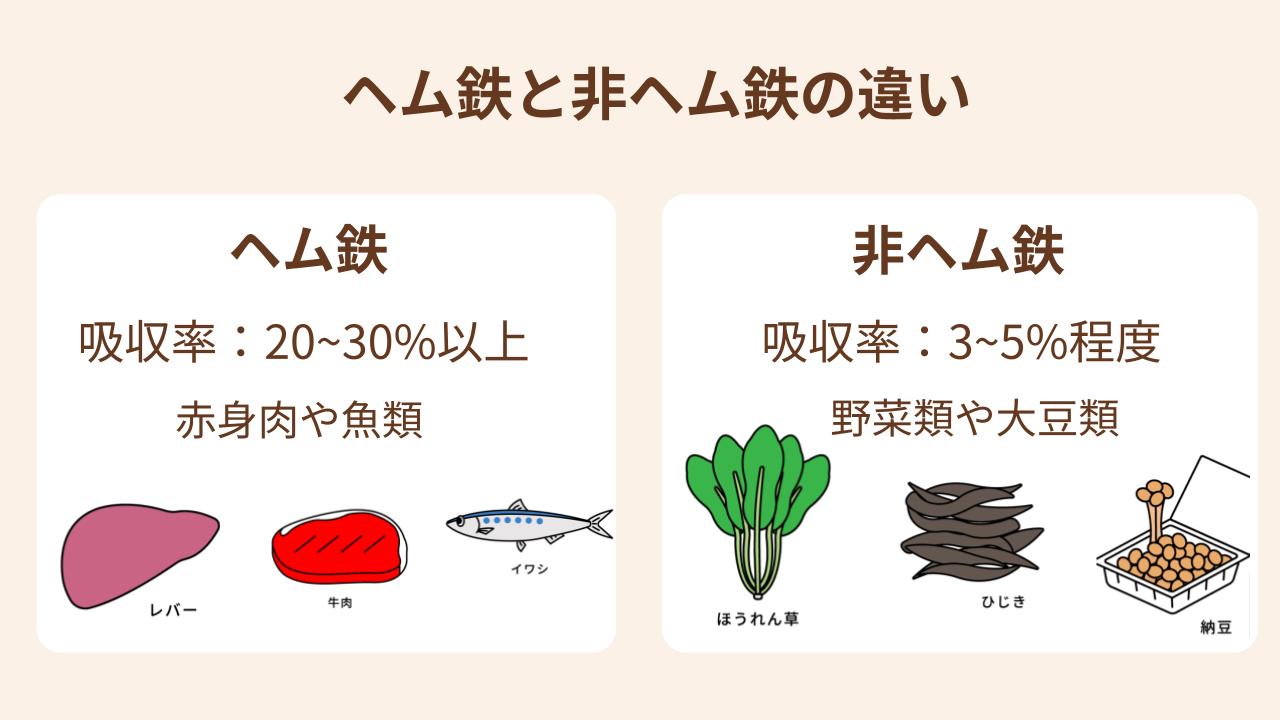 吸収率や含まれている食品の違いがある