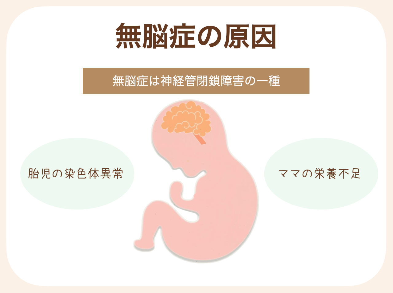 胎児の染色体異常、ママの栄養不足