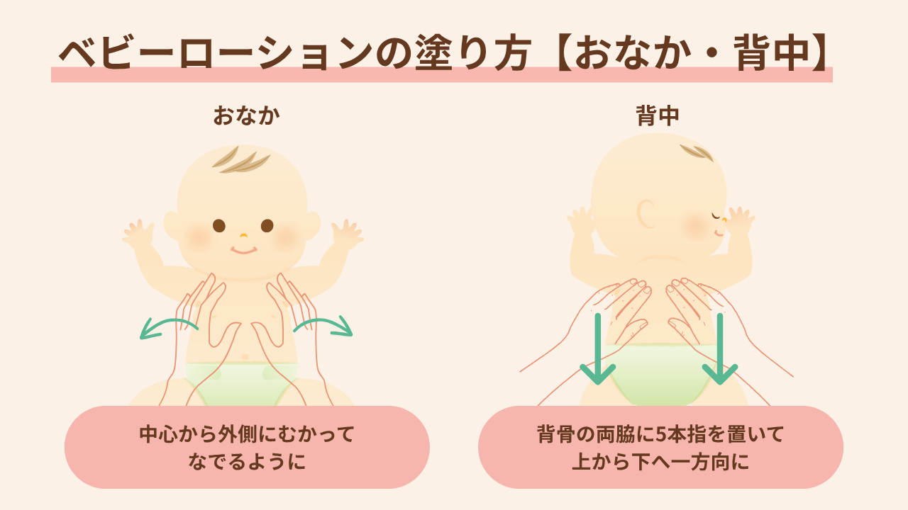 おなかは、手のひら全体を使って、中心から外側にむかってなでるように塗り広げます。背中は、背骨の両脇に5本指を置いて、上からそっと塗り広げていきます。