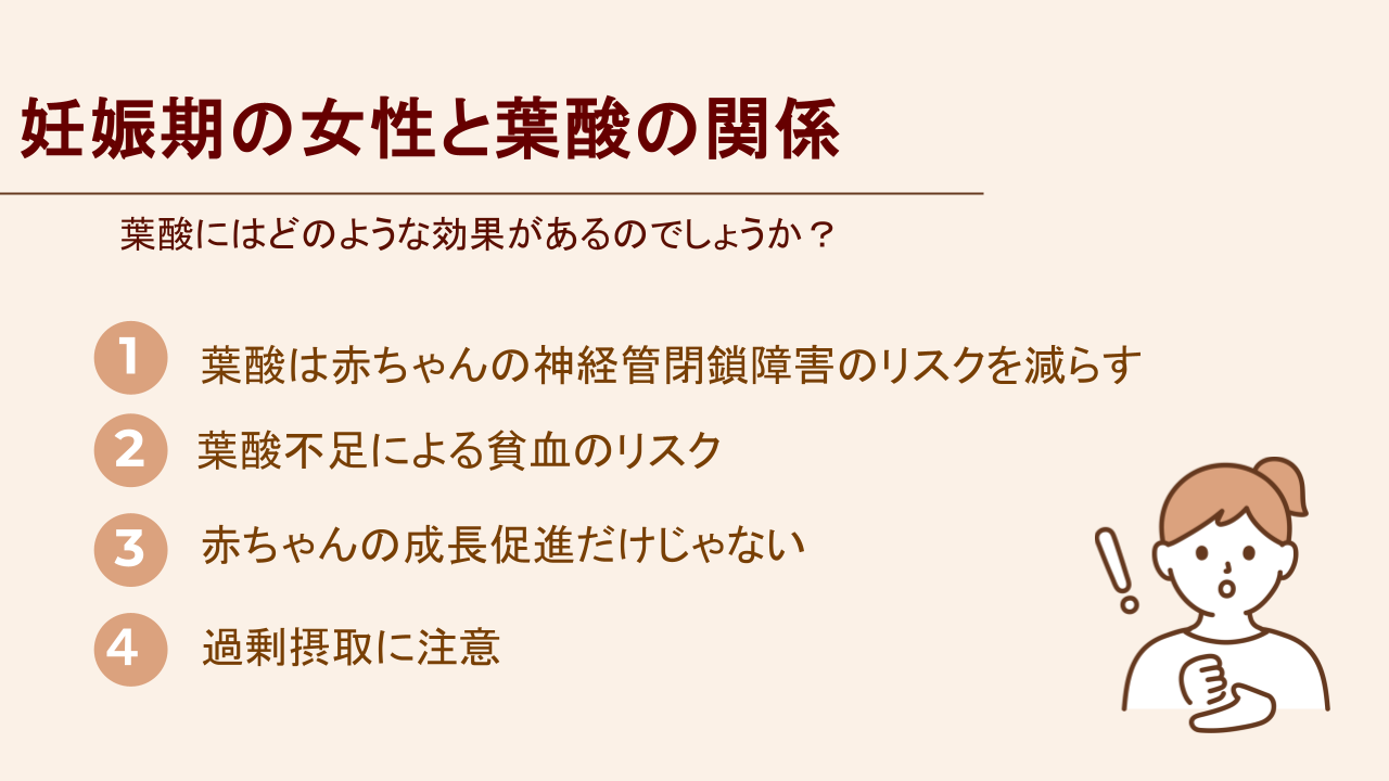 葉酸は神経管閉鎖障害のリスクを減らし、貧血のリスクを抑えるだけでなく、赤ちゃんの成長にも必要