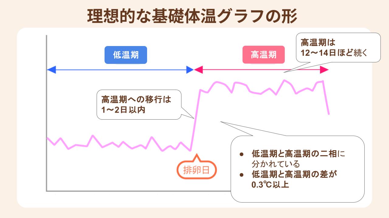 理想的な基礎体温グラフの特徴を紹介