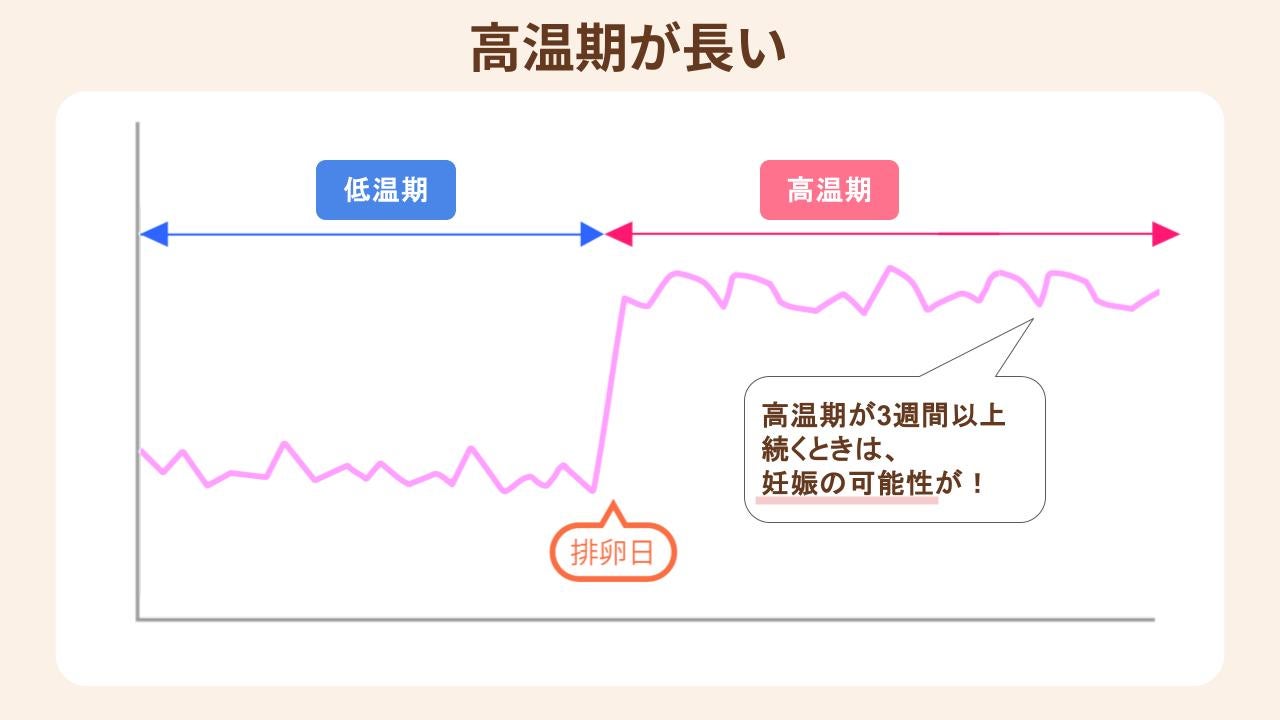 高温期が長い場合は妊娠している可能性がある
