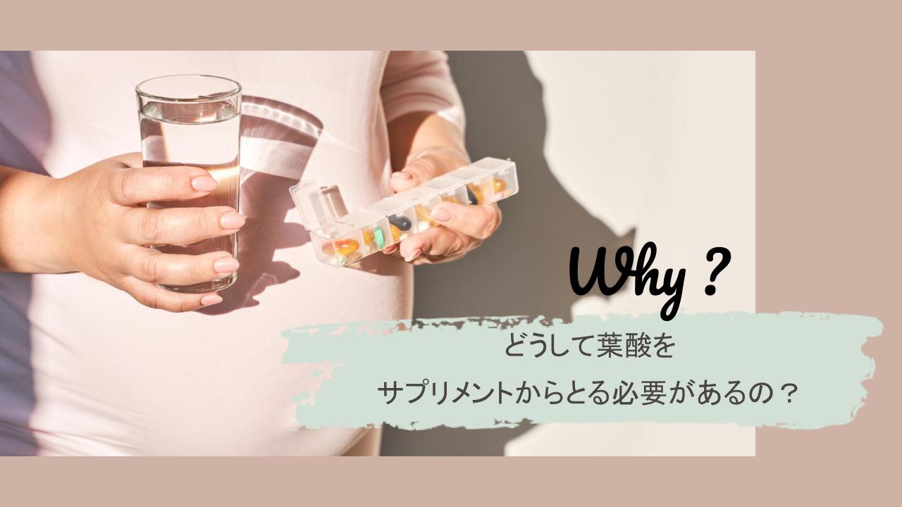 食事だけでは補いきれない栄養素をサプリメントが補助します。