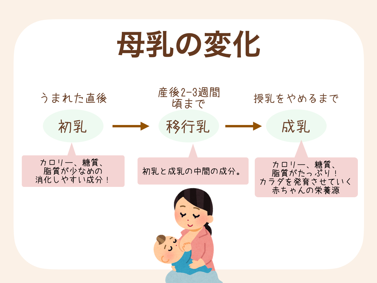 母乳は赤ちゃんの成長に応じて、初乳、移行乳、成乳と少しずつ成分が変化