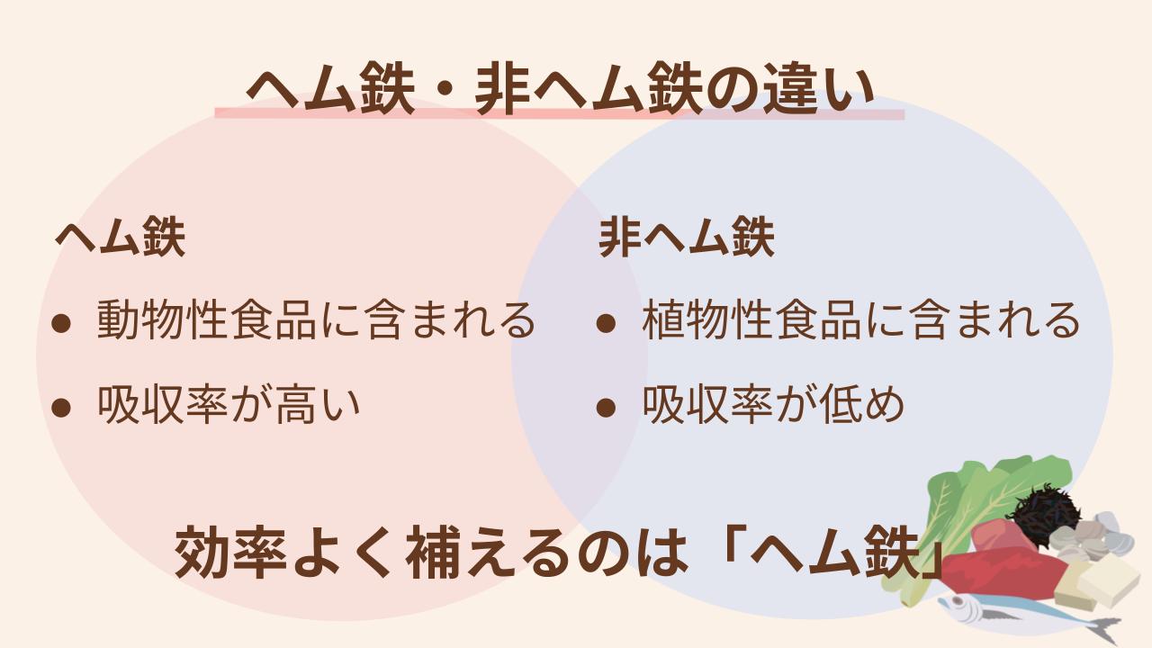 ヘム鉄の方が吸収率が高く少量でも効率よく補える