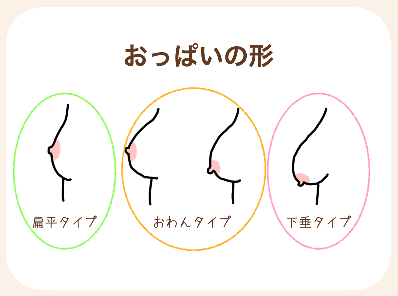 おっぱいの形によってもやりやすい授乳姿勢は異なる