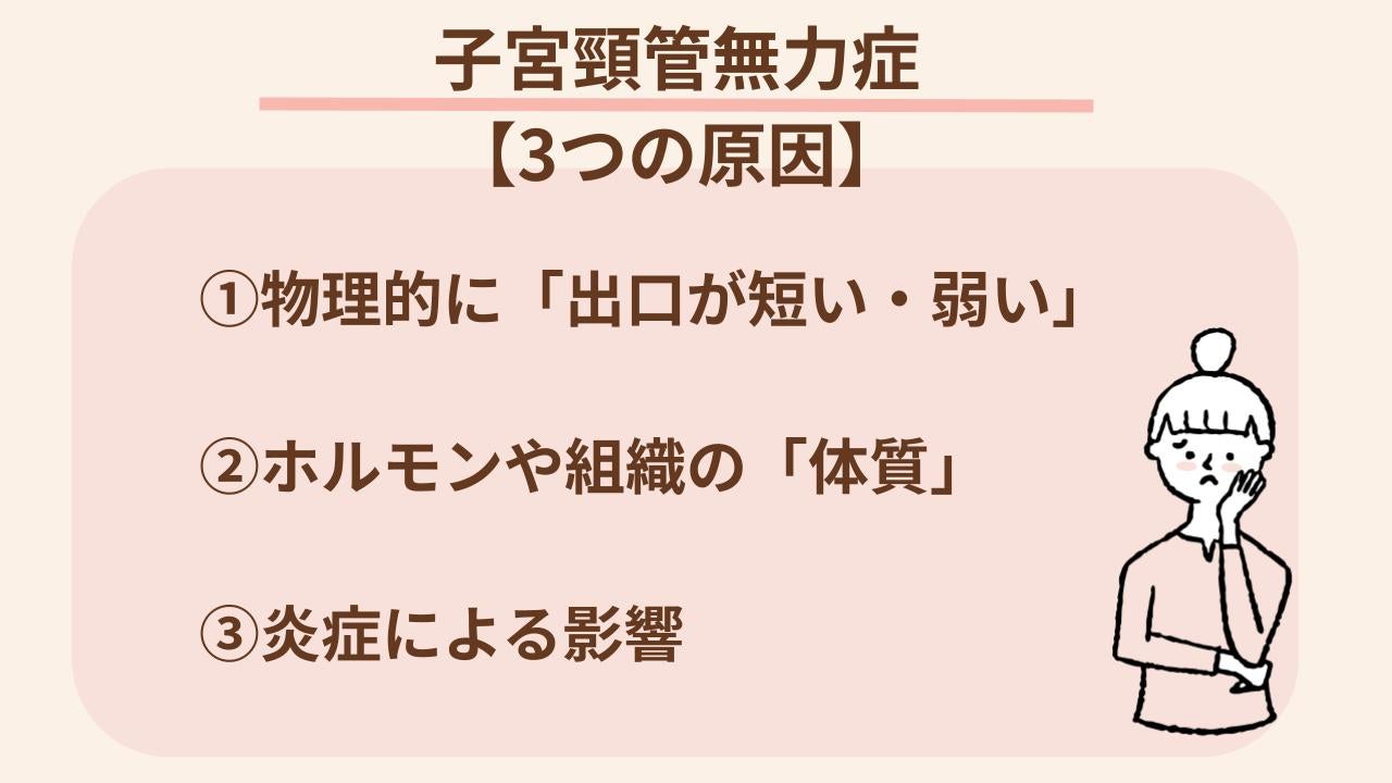 「構造」「体質」「炎症」