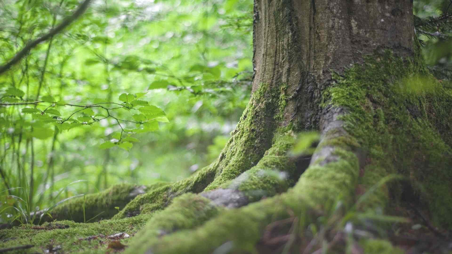 妊活中はストレスケアを意識しましょう
