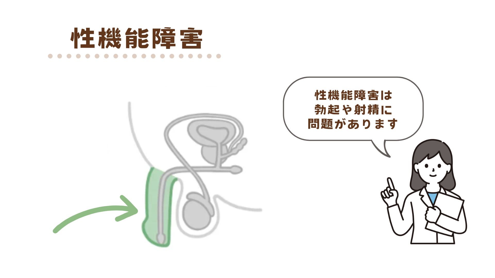 性機能障害は勃起や射精に問題がある