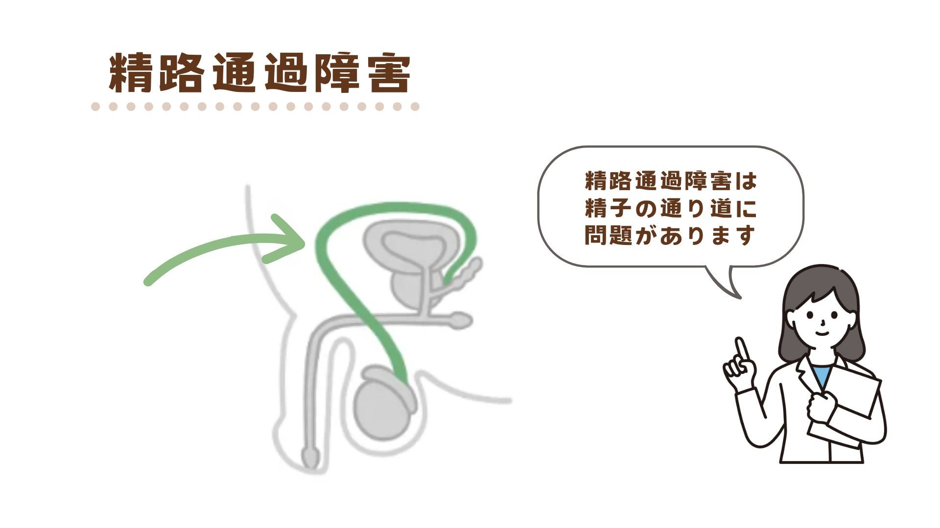 精路通過障害は精子の通り道に問題がある