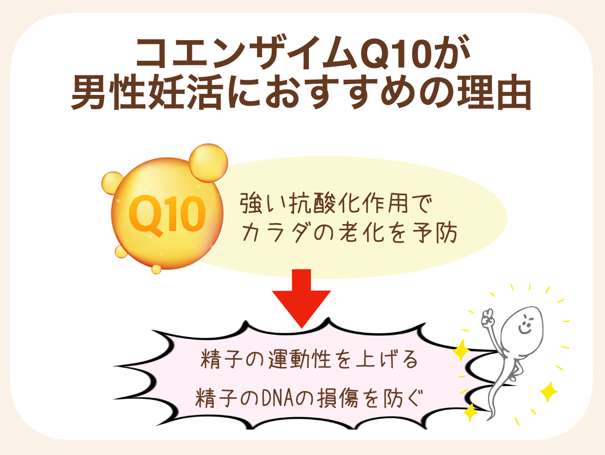 カラダの老化を予防することで、精子の運動性を上げ、DNAの損傷を防ぎ精子の質を向上させることができると期待
