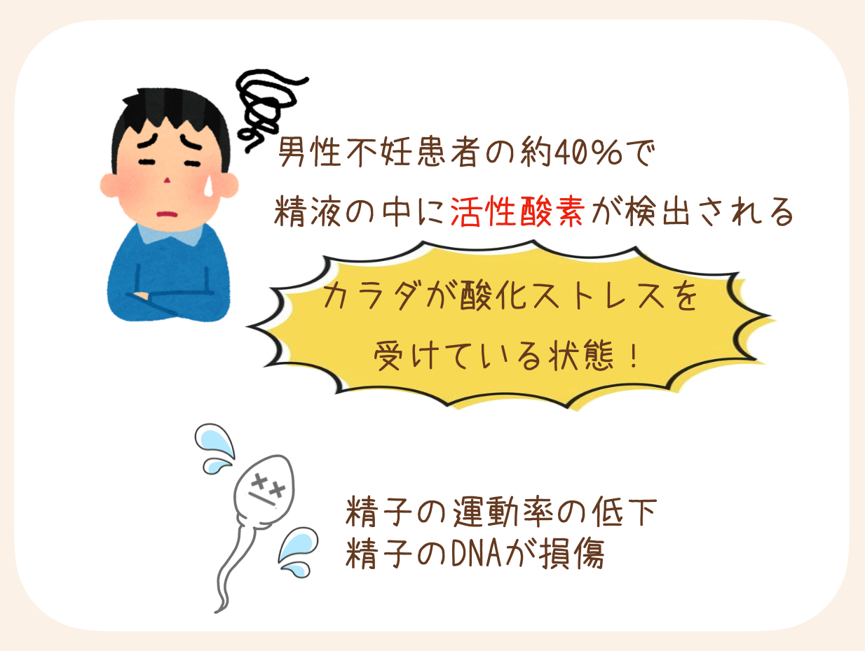 カラダが酸化ストレスを受けている状態が続くと、精子の運動率の低下や精子の持つDNAが損傷しやすくなることで、受精しにくくなる可能性があります