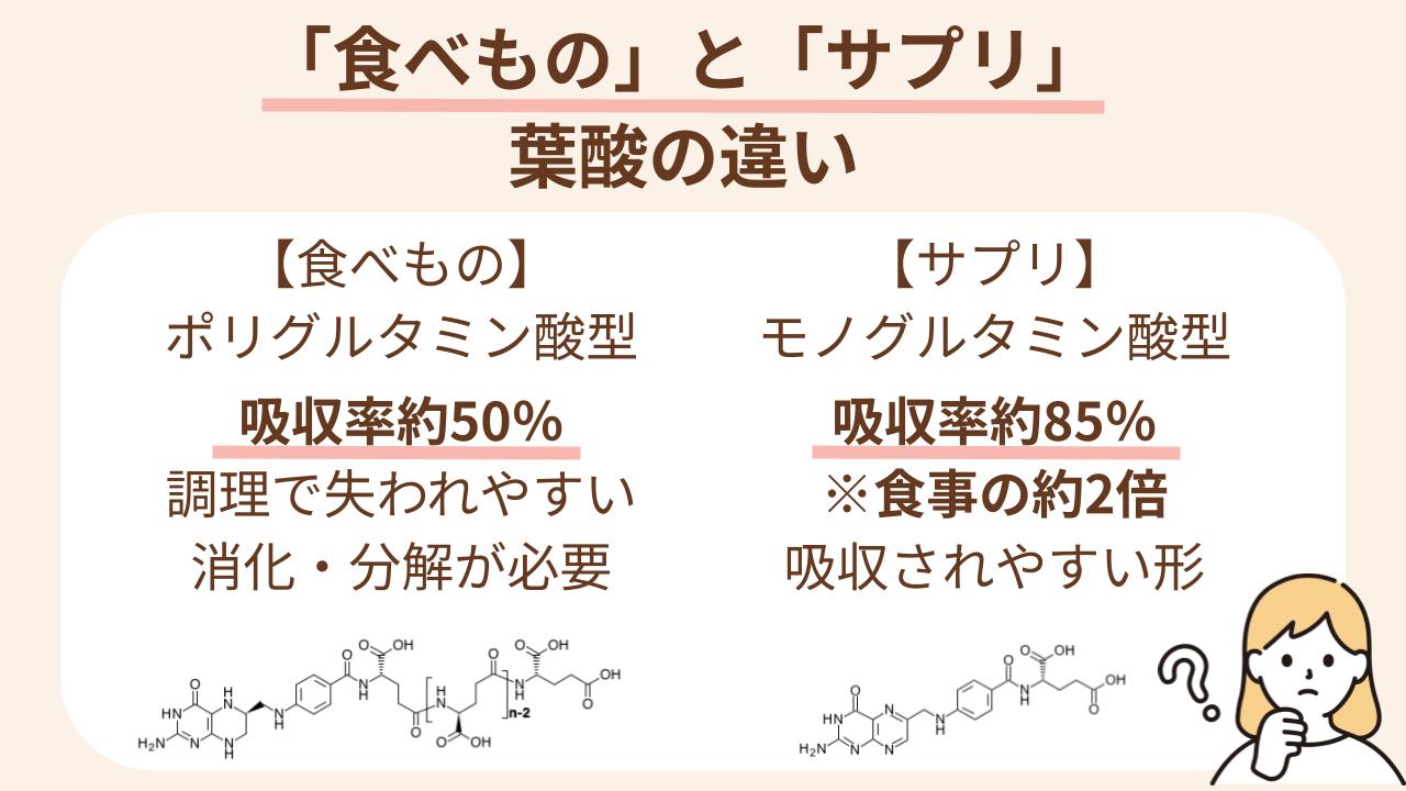食品中の葉酸は失われやすく分解が大変、サプリの葉酸は吸収しやすい形で食事の約2倍の吸収率
