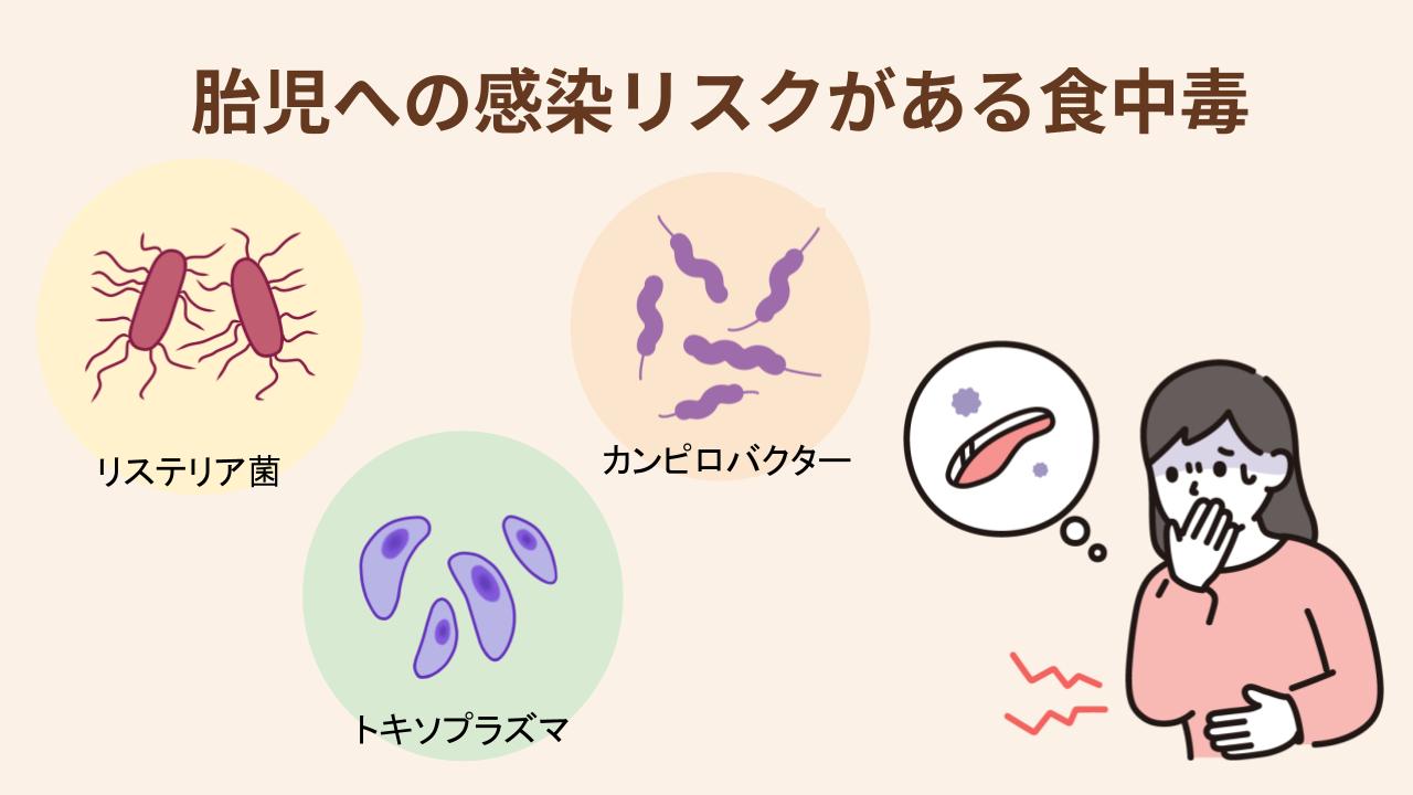 食中毒は胎児に感染する恐れがあるため要注意