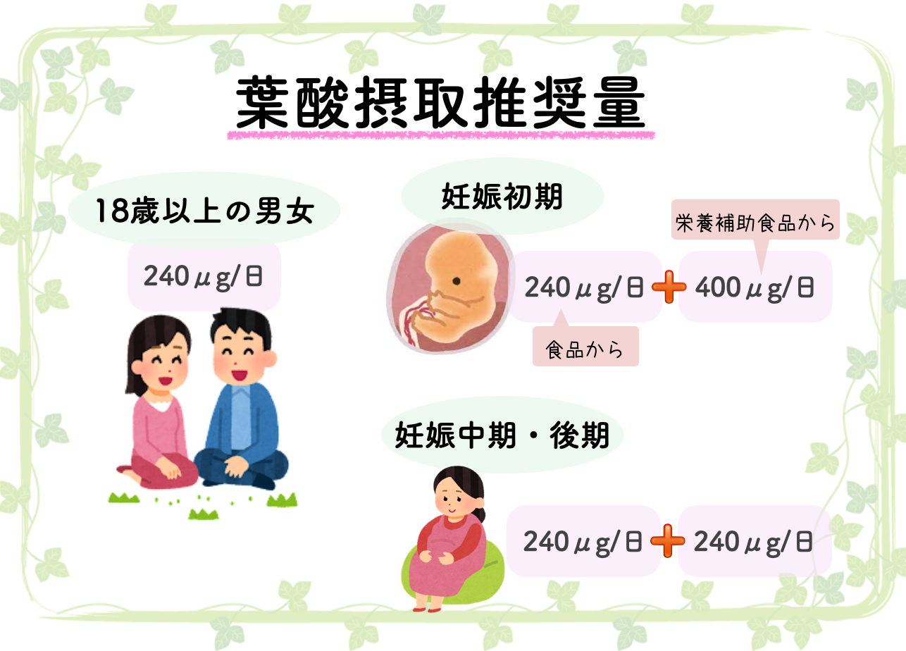 女性における時期別の葉酸摂取推奨量