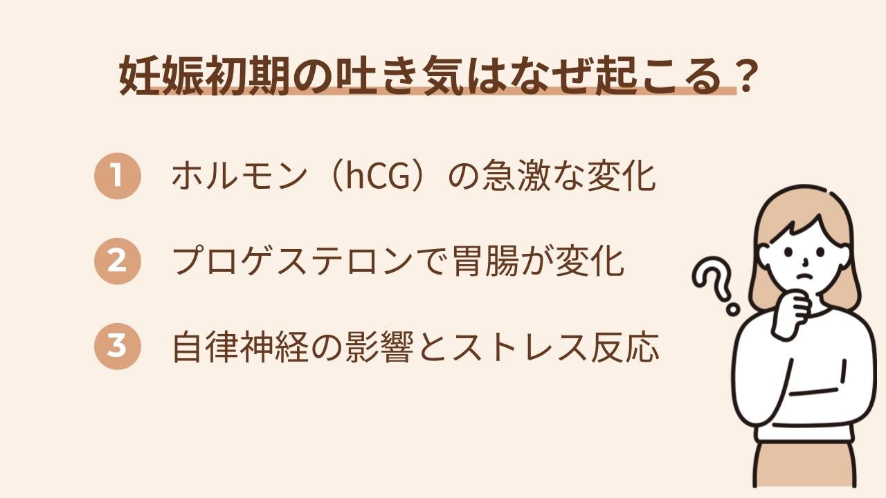 妊娠初期の吐き気（つわり）が起こる原因について解説