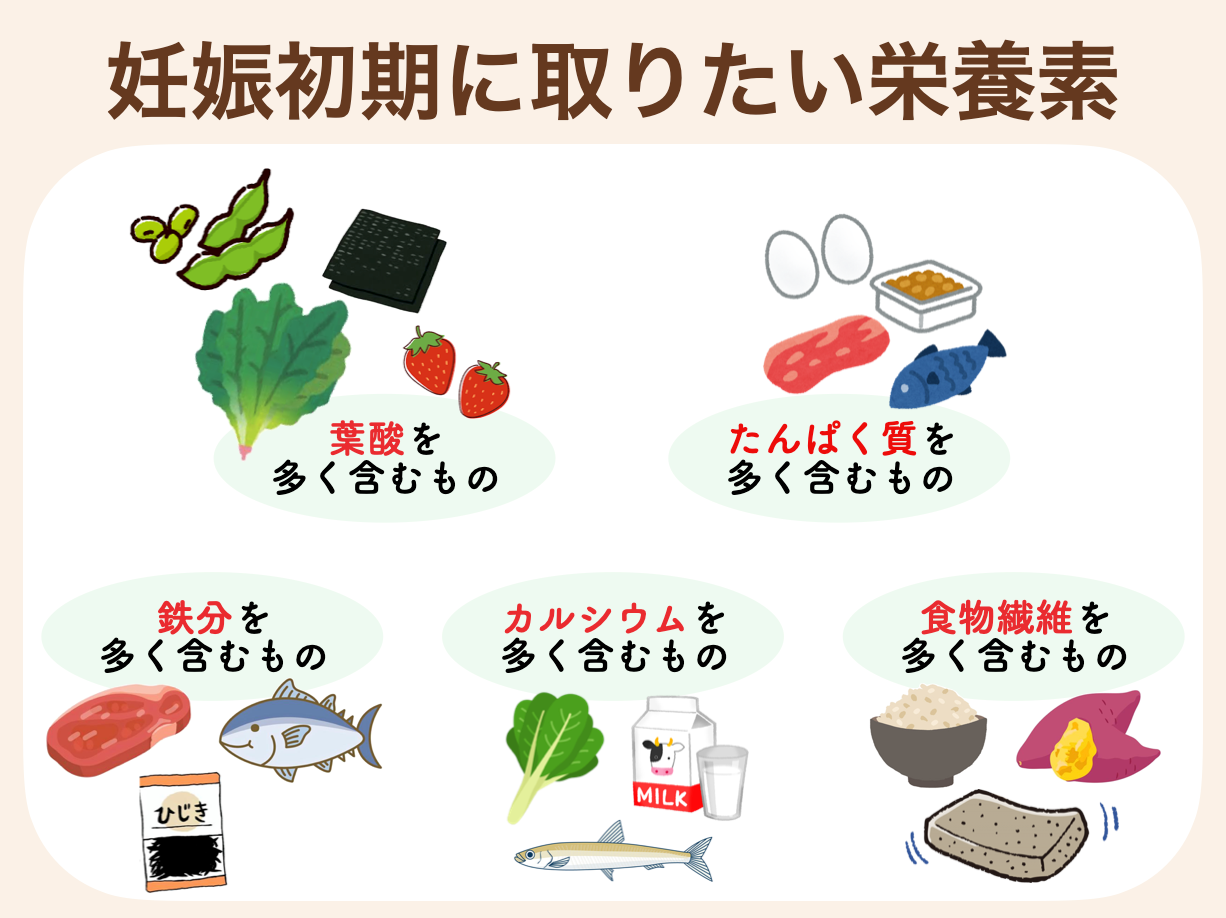 妊娠初期に特に積極的に取りたい栄養素は、カラダをつくるために欠かせない「葉酸」「たんぱく質」「鉄分」に加えて、骨をつくる「カルシウム」、腸内環境を整える「食物繊維」です。