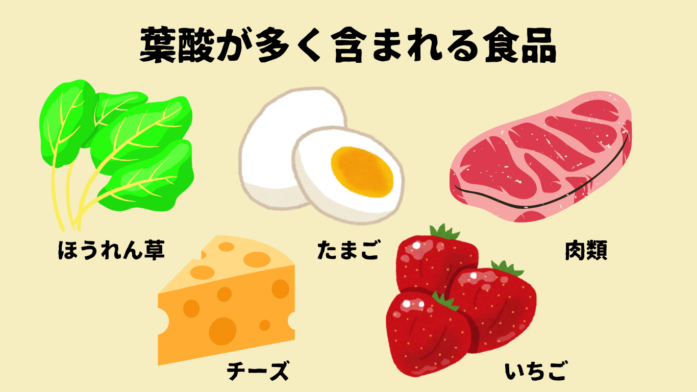 妊娠初期の食事からの葉酸は240㎍必要です。葉酸が多く含まれる食品は、ほうれん草、卵、肉類、チーズ、いちごなどです。