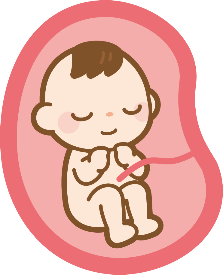 葉酸が不足してしまうと、赤ちゃんの発育不全を引き起こす可能性も。また葉酸は、妊娠初期には「神経管閉鎖障害のリスクを下げる」という大きな役割をもっています。