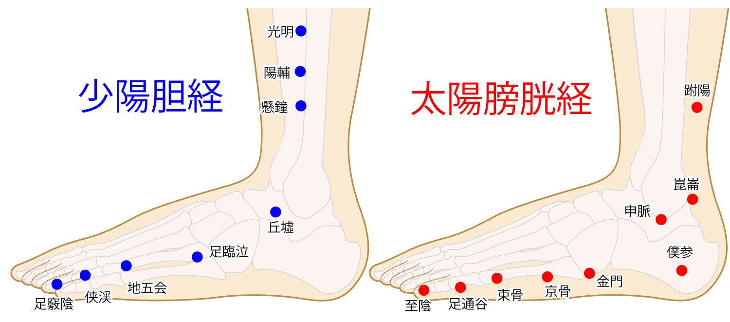 足にあるツボ　崑崙（こんろん）・足臨泣（あしりんきゅう）は頭痛を和らげるツボといわれています。