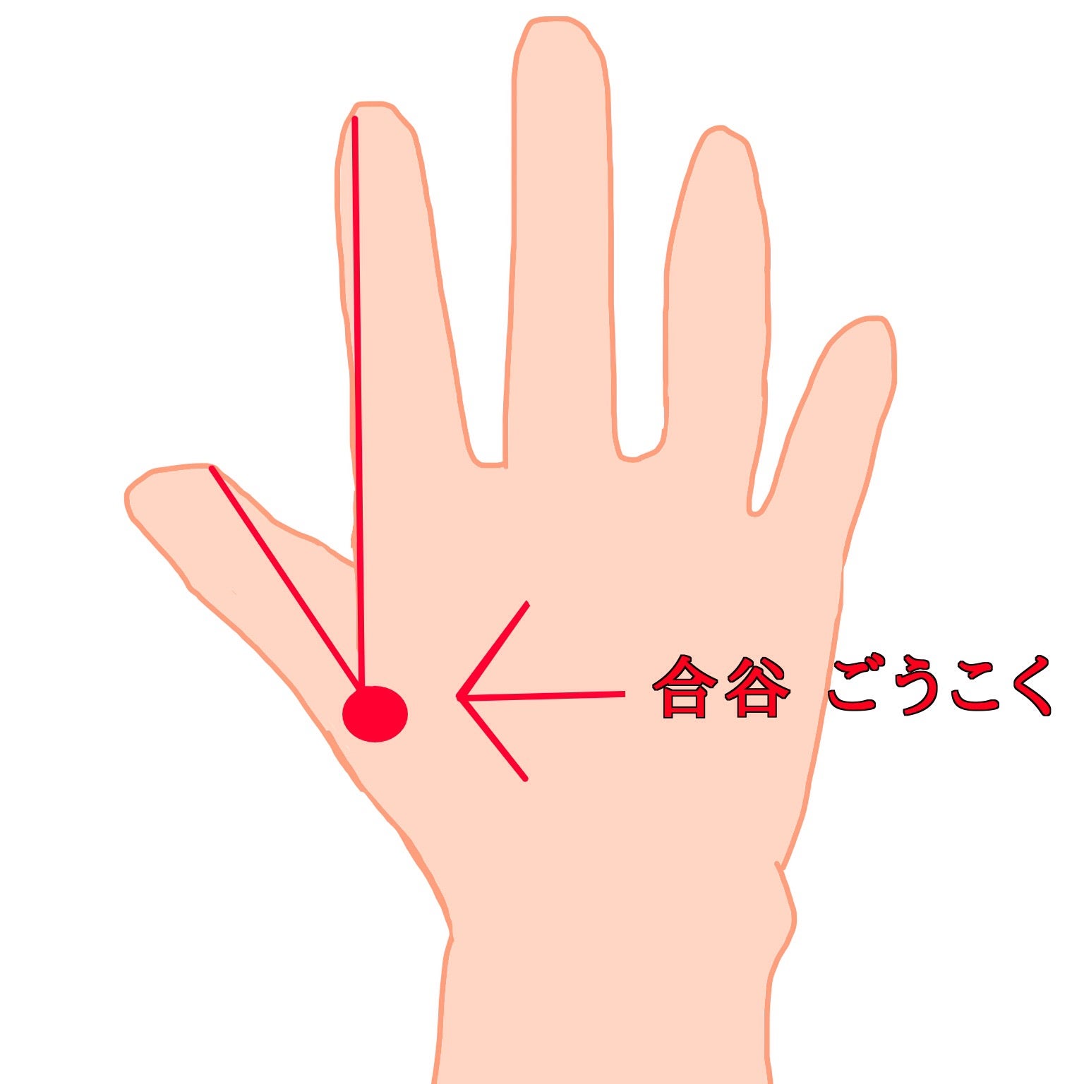合谷（ごうこく）は手の甲の親指と人差し指の付け根の間にあるツボです。押すことで頭痛を和らげるといわれています。