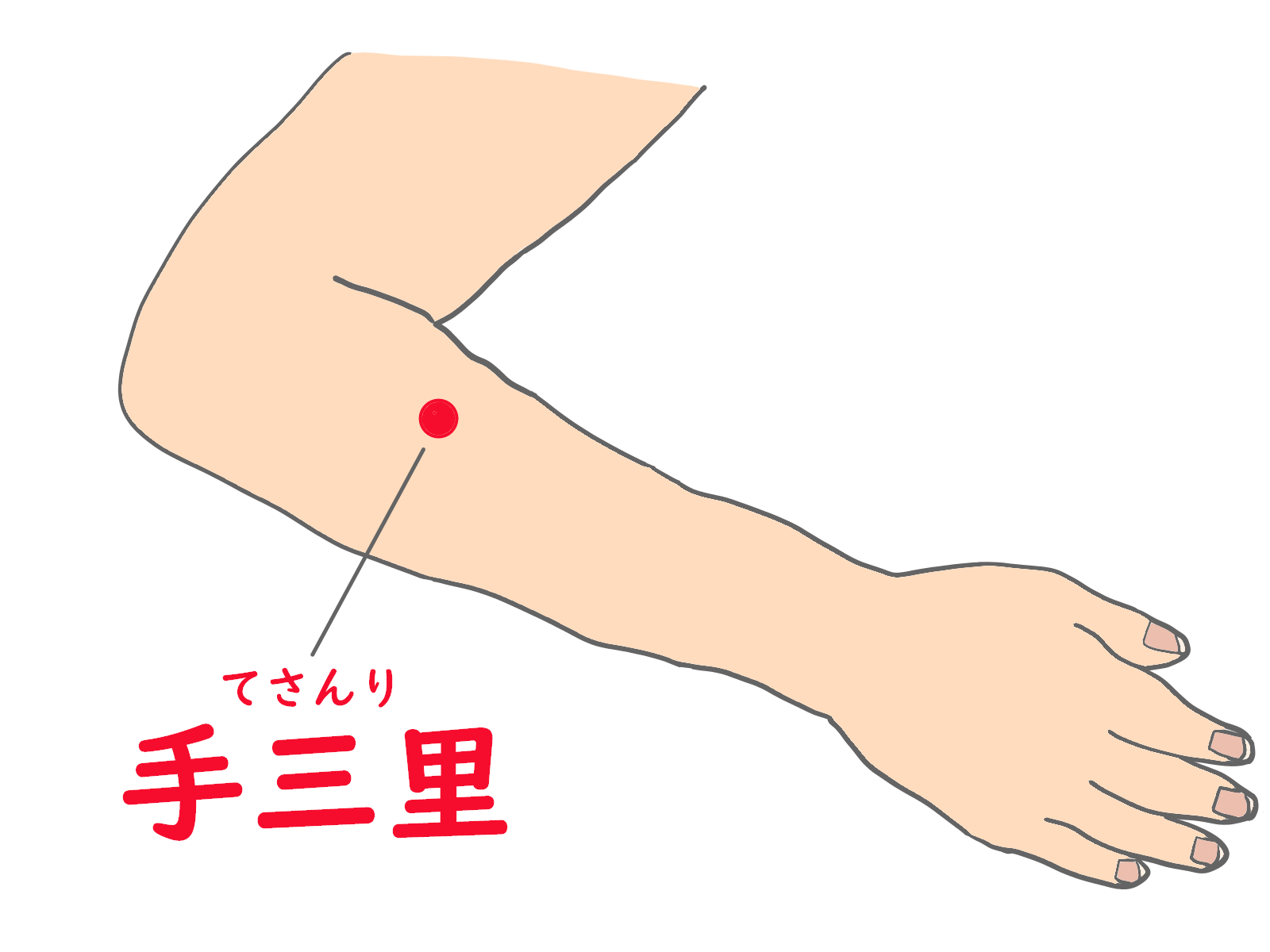 腕にあるツボ　手三里（てさんり）はひじを軽く曲げて親指を上にし、ひじ関節から手の方に指三本分戻った部分にあります。頭痛を和らげるといわれています。