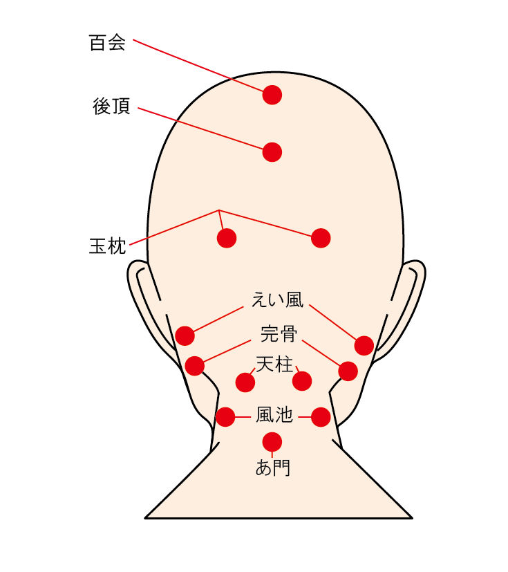 首にある頭痛に効果のあるツボ「天柱」「風池」「大椎」