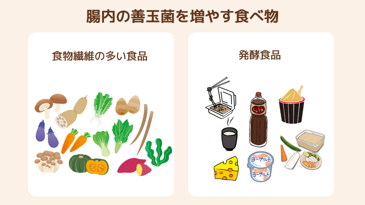 腸内の善玉菌を増やす食べ物