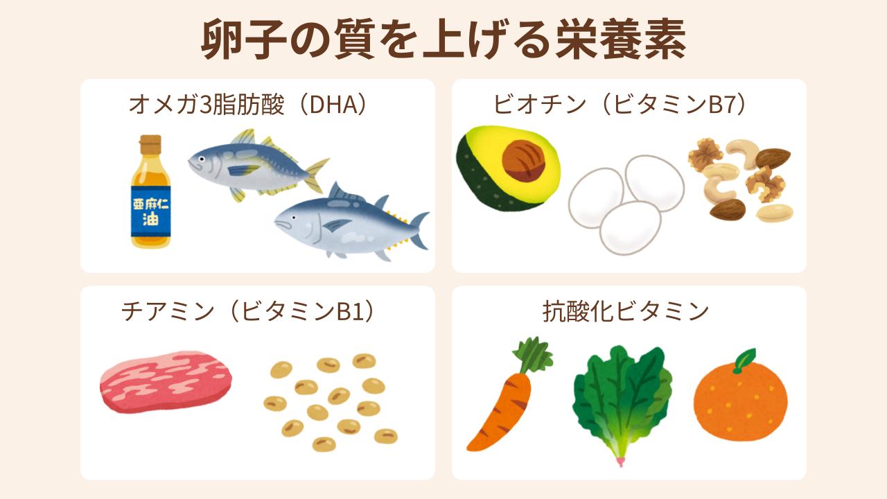 DHA、ビオチン、チアミン、抗酸化ビタミンが卵子の質を上げるといわれている