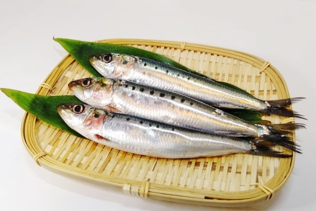 卵子の質を上げるといわれているDHAが豊富に含まれている魚のイメージ写真